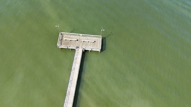 340 Douglas Drive, Abbeville, AL 36310