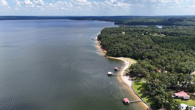 340 Douglas Drive, Abbeville, AL 36310