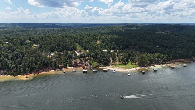 340 Douglas Drive, Abbeville, AL 36310