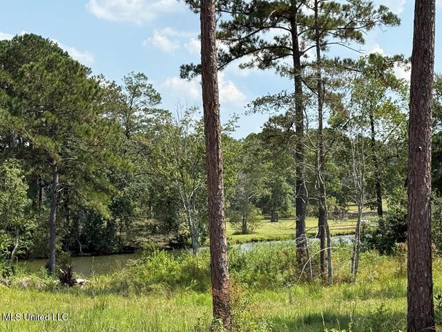 Cypress Place, Perkinston, MS 39573
