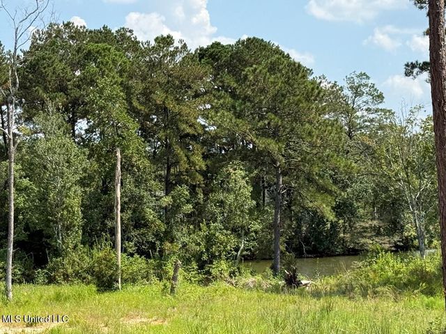 Cypress Place, Perkinston, MS 39573