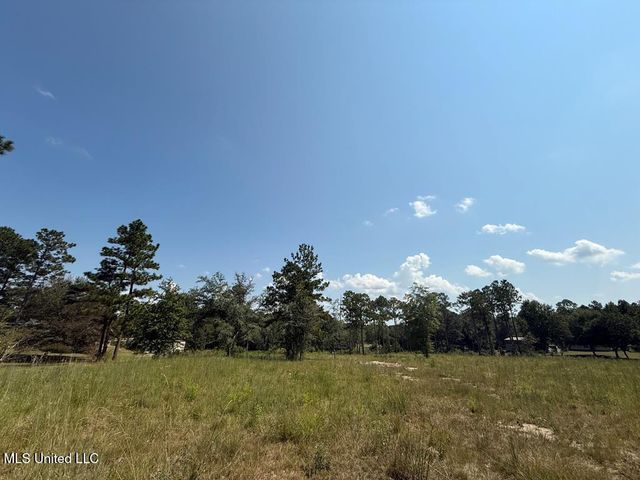 Cypress Place, Perkinston, MS 39573