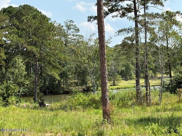 Cypress Place, Perkinston, MS 39573