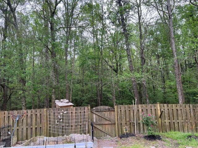 5007 Whitfield Court Court, Summerville, SC 29485