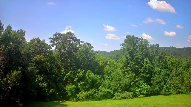 0 Mill Drive 19, Decatur, TN 37322
