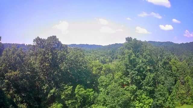 0 Mill Drive 19, Decatur, TN 37322