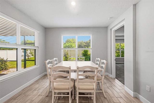 2931 AGOSTINO TERRACE, Kissimmee, FL 34746
