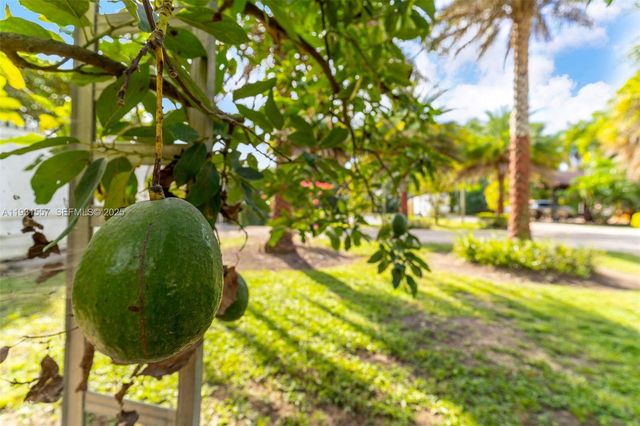 16020 SW 208th Ave, Miami, FL 33187