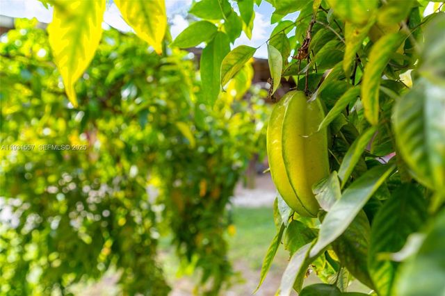 16020 SW 208th Ave, Miami, FL 33187