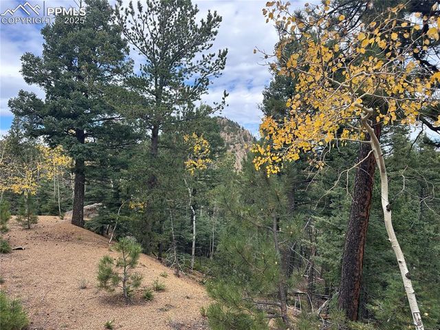 316 Summit Ridge Road, Manitou Springs, CO 80829