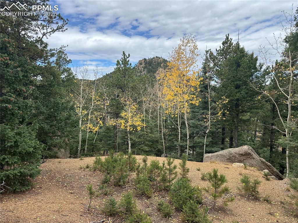316 Summit Ridge Road, Manitou Springs, CO 80829