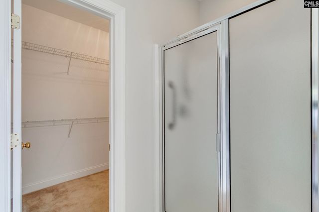 192 Palm Street, Chapin, SC 29036