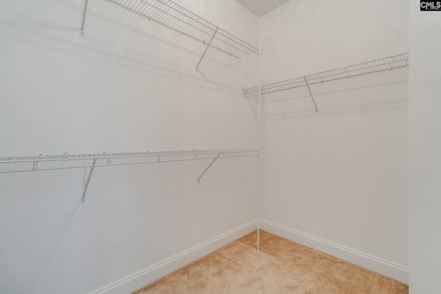 192 Palm Street, Chapin, SC 29036