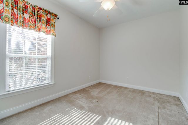 192 Palm Street, Chapin, SC 29036