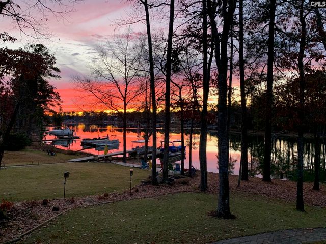 192 Palm Street, Chapin, SC 29036