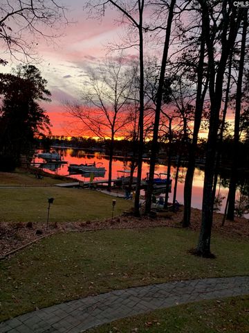 192 Palm Street, Chapin, SC 29036