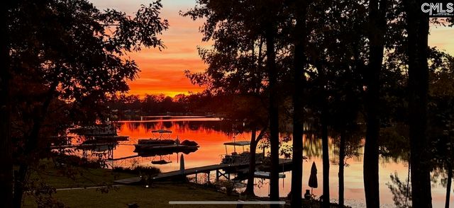 192 Palm Street, Chapin, SC 29036