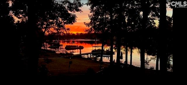 192 Palm Street, Chapin, SC 29036