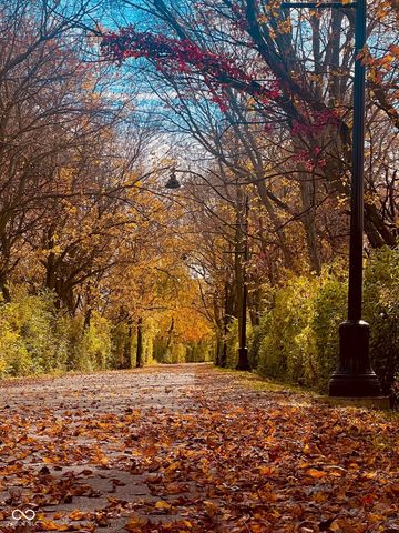 19319 Winter Wheat Lane, Westfield, IN 46074