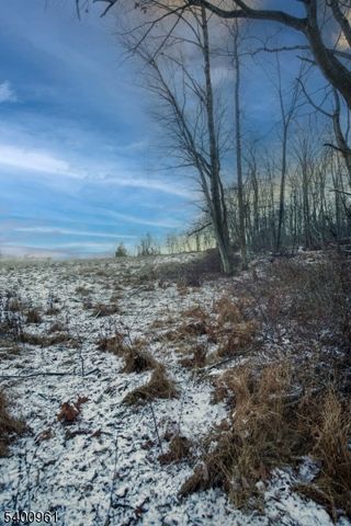 11 Logan Dr., Tewksbury Twp., NJ 07830