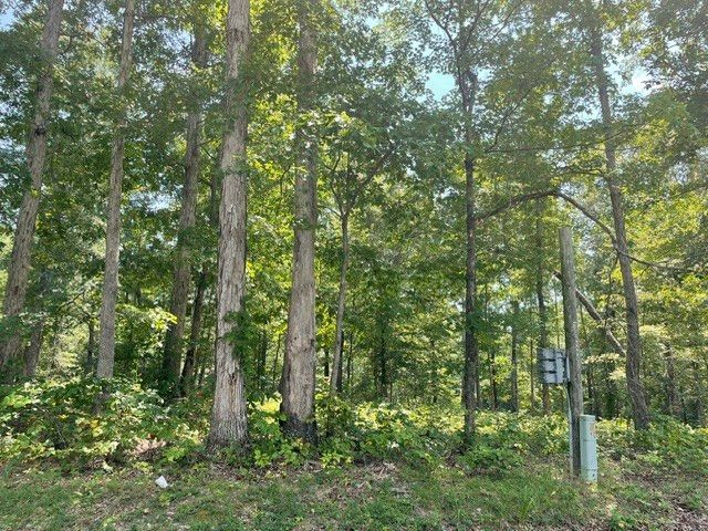 0 Hillcrest Road, Waverly, TN 37185