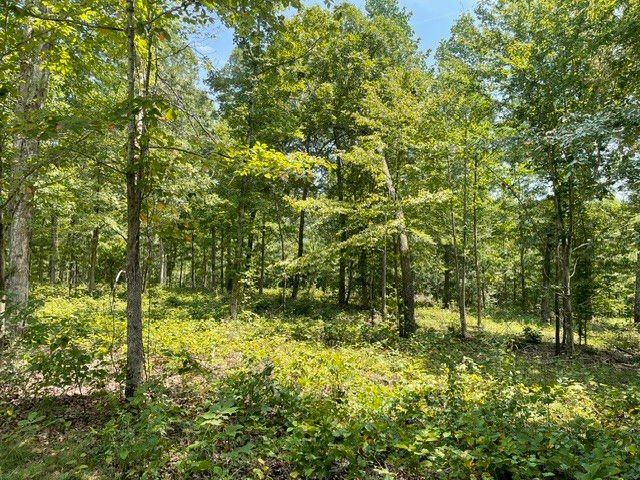 0 Hillcrest Road, Waverly, TN 37185