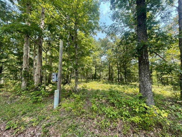 0 Hillcrest Road, Waverly, TN 37185