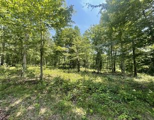 0 Hillcrest Road, Waverly, TN 37185