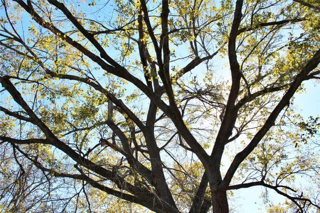 628 Austin Street, Columbus, TX 78934