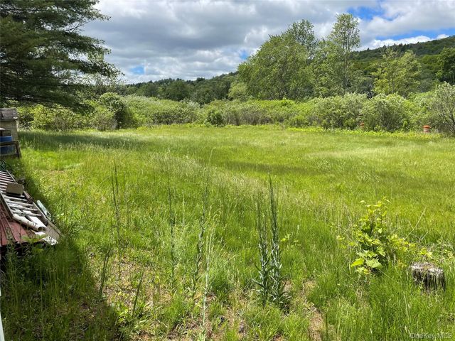 163 Fire House Road, Wurtsboro, NY 12781