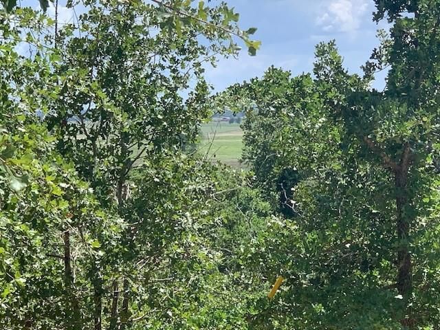 107 & 113 McCarthy DR, Bastrop, TX 78602