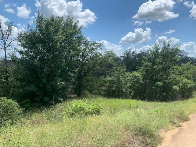 107 & 113 McCarthy DR, Bastrop, TX 78602