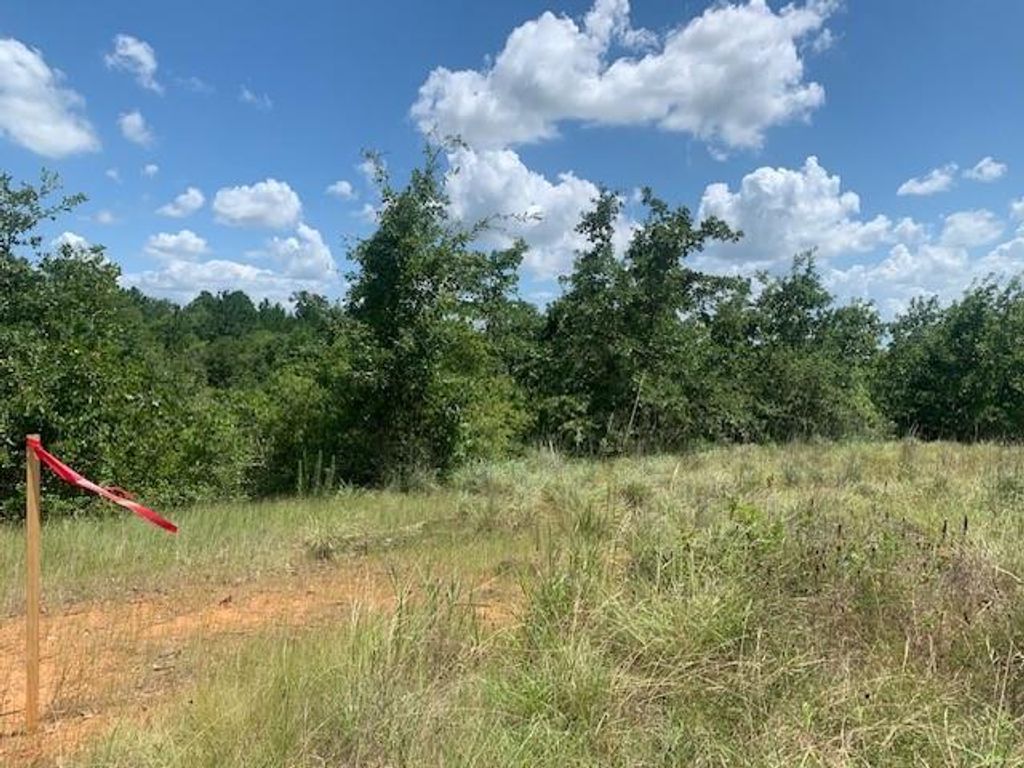 107 & 113 McCarthy DR, Bastrop, TX 78602