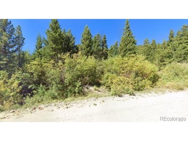 1 Silver Creek Rd, Idaho Springs, CO 80452