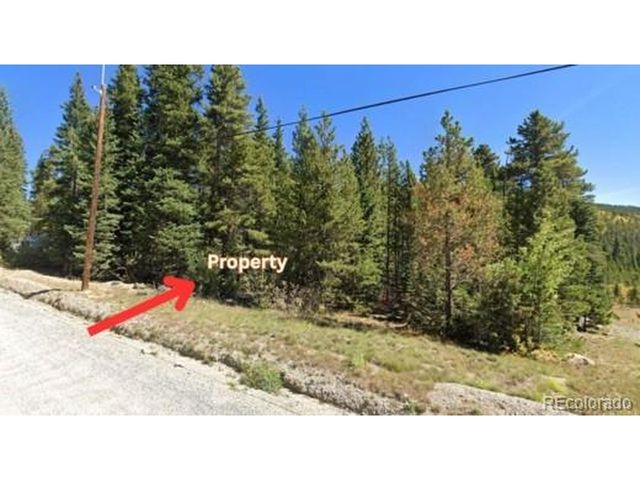 1 Silver Creek Rd, Idaho Springs, CO 80452