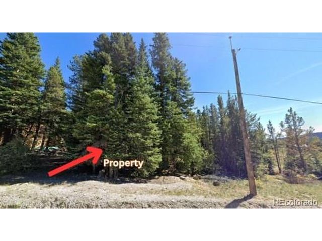 1 Silver Creek Rd, Idaho Springs, CO 80452