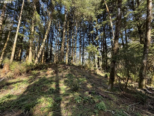 Fiddle Back Lot 7, North Bend, OR 97459