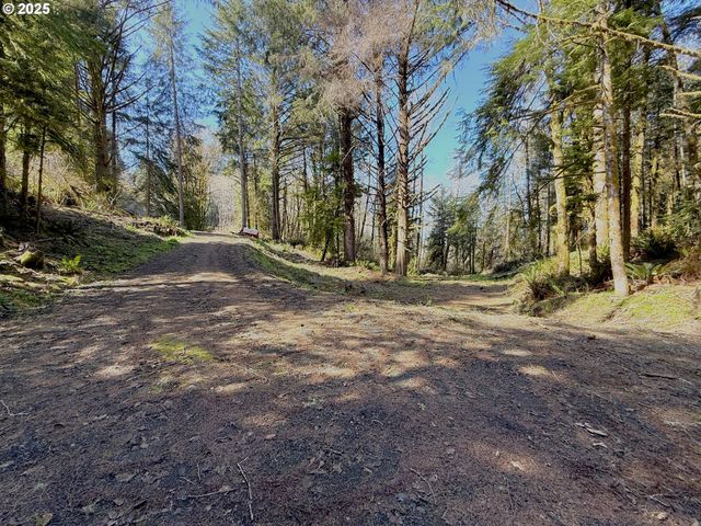 Fiddle Back Lot 7, North Bend, OR 97459