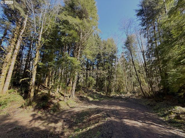Fiddle Back Lot 7, North Bend, OR 97459