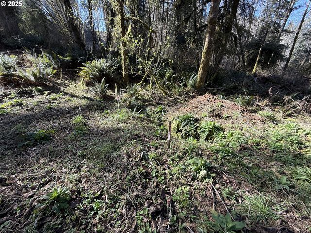 Fiddle Back Lot 7, North Bend, OR 97459