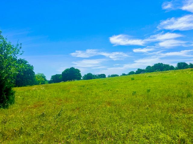 Lot 102 Arlow Road, Poolville, TX 76487