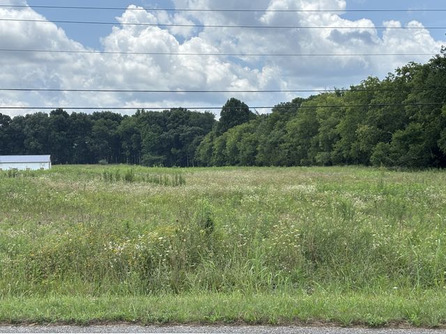 0 Unionville Rd, Chapel Hill, TN 37034