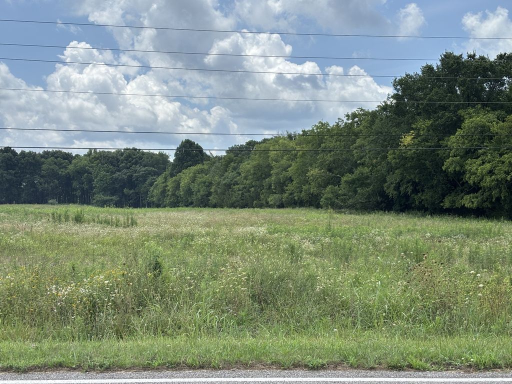 0 Unionville Rd, Chapel Hill, TN 37034