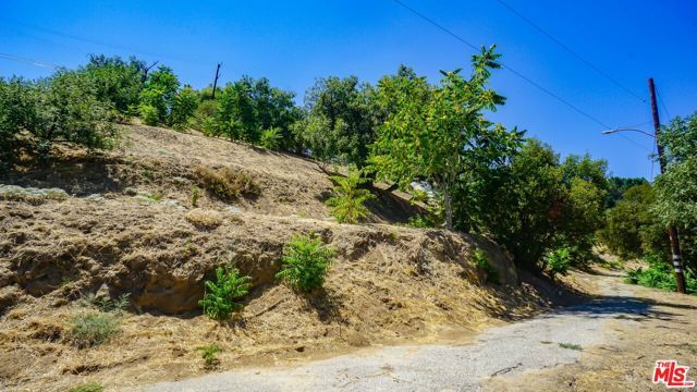 506 W. Beech Street, Los Angeles, CA 90065