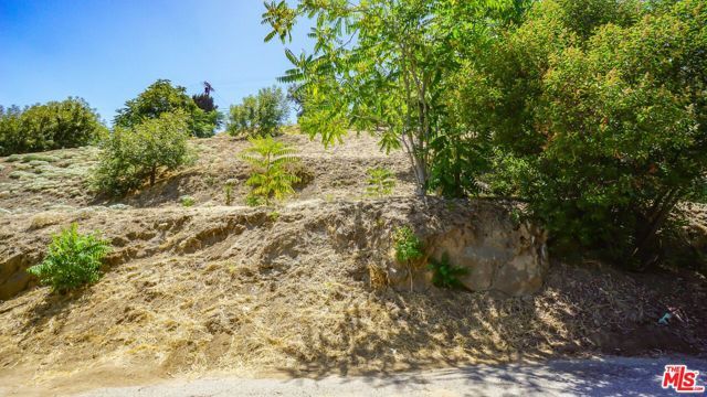 506 W. Beech Street, Los Angeles, CA 90065