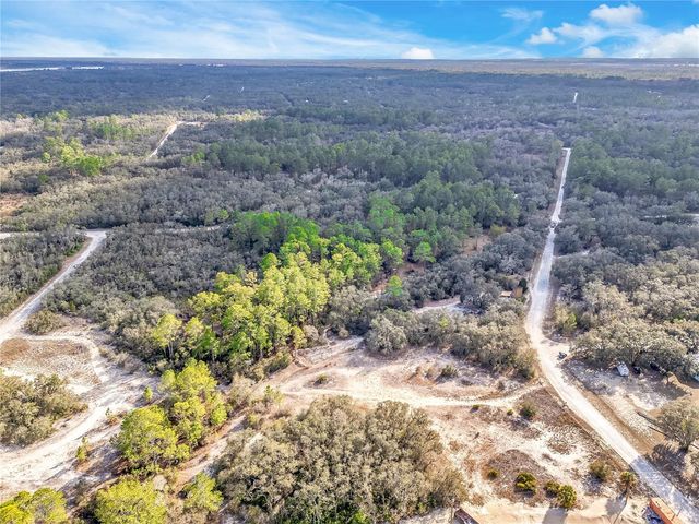 GOODSTONE DRIVE, Webster, FL 33597