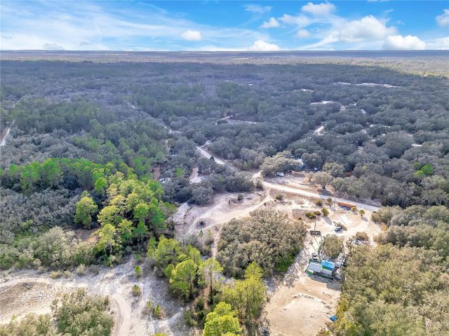 GOODSTONE DRIVE, Webster, FL 33597