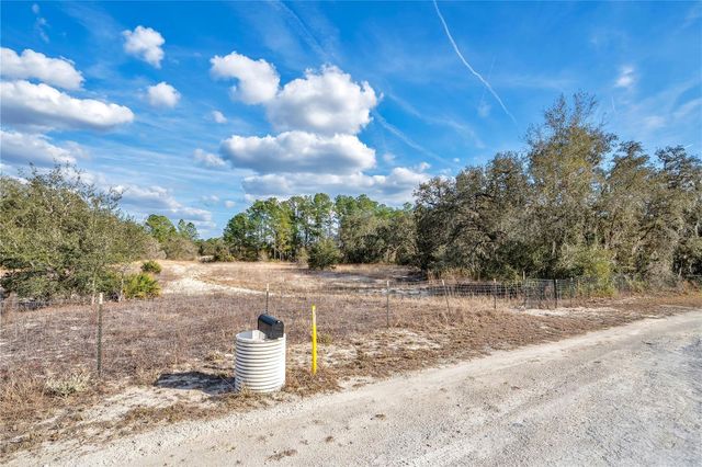 GOODSTONE DRIVE, Webster, FL 33597