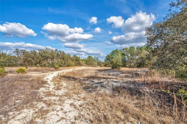 GOODSTONE DRIVE, Webster, FL 33597