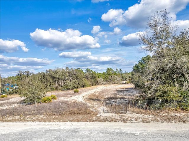 GOODSTONE DRIVE, Webster, FL 33597